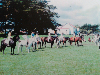 Hakaru Pony Club old-458